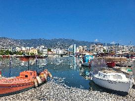 Dead Fish Wash Up At The Shores Of Volos City