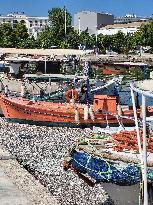 Dead Fish Wash Up At The Shores Of Volos City