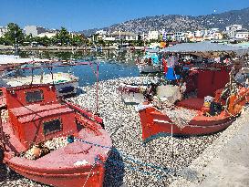 Dead Fish Wash Up At The Shores Of Volos City