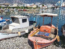 Dead Fish Wash Up At The Shores Of Volos City