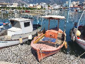 Dead Fish Wash Up At The Shores Of Volos City