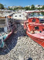 Dead Fish Wash Up At The Shores Of Volos City