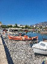 Dead Fish Wash Up At The Shores Of Volos City