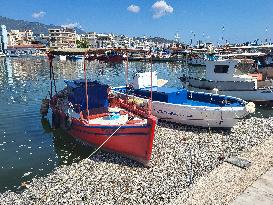 Dead Fish Wash Up At The Shores Of Volos City