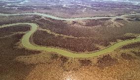 Mudflats Of The Yellow River Delta - China