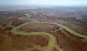 Mudflats Of The Yellow River Delta - China