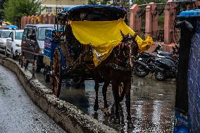 Daily Life In Kashmir