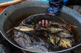 Daily Life In Kashmir