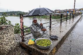 Daily Life In Kashmir