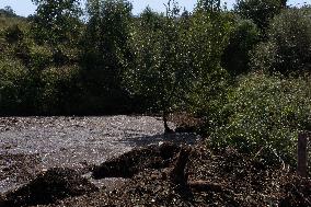 San Felice A Cancello, The Day After The Mudslide