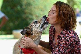 Angouleme Festival - Le Proces Du Chien Photocall