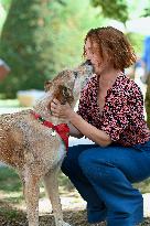 Angouleme Festival - Le Proces Du Chien Photocall