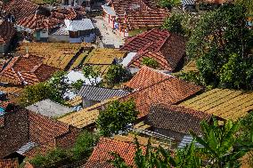 Tobacco Village During Dry Season In Sumedang Regency