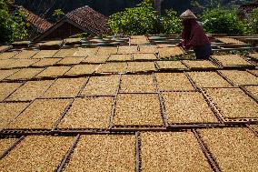 Tobacco Village During Dry Season In Sumedang Regency