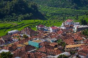 Tobacco Village During Dry Season In Sumedang Regency