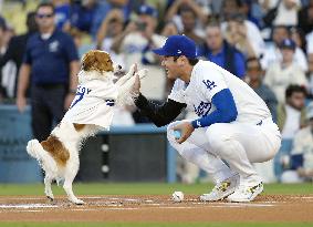 Baseball: Orioles vs. Dodgers