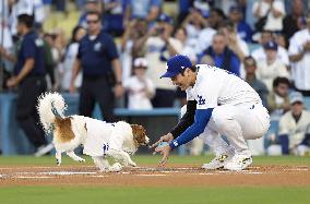 Baseball: Orioles vs. Dodgers