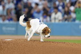 Baseball: Orioles vs. Dodgers