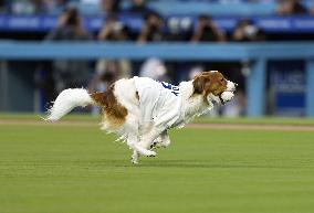 Baseball: Orioles vs. Dodgers