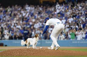 Baseball: Orioles vs. Dodgers