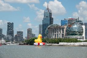 Shanghai Huangpu River Giant Duck