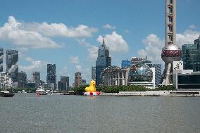 Shanghai Huangpu River Giant Duck