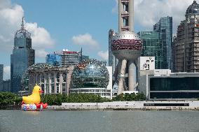 Shanghai Huangpu River Giant Duck