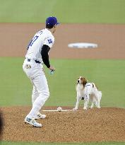 Baseball: Orioles vs. Dodgers