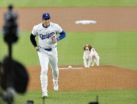 Baseball: Orioles vs. Dodgers