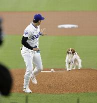 Baseball: Orioles vs. Dodgers