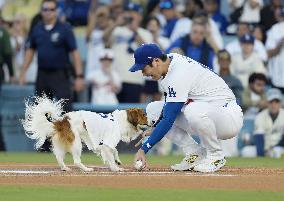 Baseball: Orioles vs. Dodgers