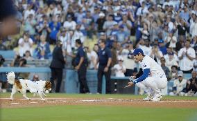 Baseball: Orioles vs. Dodgers