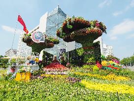 China-Africa Cooperation Summit Forum Theme Flower Bed