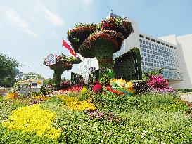 China-Africa Cooperation Summit Forum Theme Flower Bed