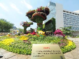 China-Africa Cooperation Summit Forum Theme Flower Bed