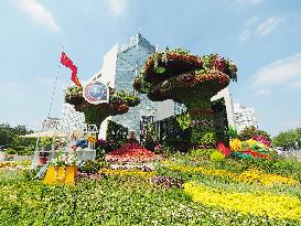 China-Africa Cooperation Summit Forum Theme Flower Bed