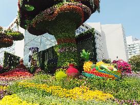 China-Africa Cooperation Summit Forum Theme Flower Bed