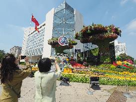 China-Africa Cooperation Summit Forum Theme Flower Bed