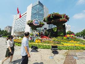 China-Africa Cooperation Summit Forum Theme Flower Bed