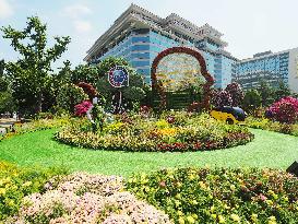 China-Africa Cooperation Summit Forum Theme Flower Bed