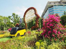 China-Africa Cooperation Summit Forum Theme Flower Bed