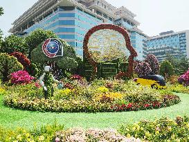 China-Africa Cooperation Summit Forum Theme Flower Bed