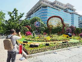 China-Africa Cooperation Summit Forum Theme Flower Bed