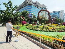 China-Africa Cooperation Summit Forum Theme Flower Bed