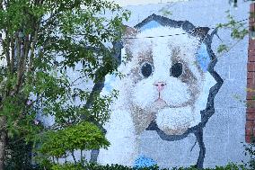 Creative Graffiti on A Street in Guiyang