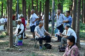 Average Life Expectancy in China