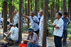 Average Life Expectancy in China