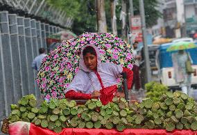 Rainfall In Kashmir