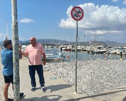 Thousands Of Floating Dead Fish Blanket Greek Port - Volos