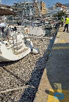 Thousands Of Floating Dead Fish Blanket Greek Port - Volos